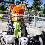 Korzo Lipno C Apartamento Lipno nad Vltavou